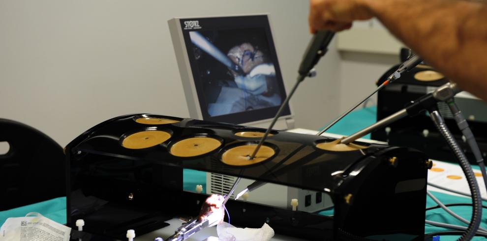 Fotografías: Centro de Investigación Biomédica de Aragón, CIBA