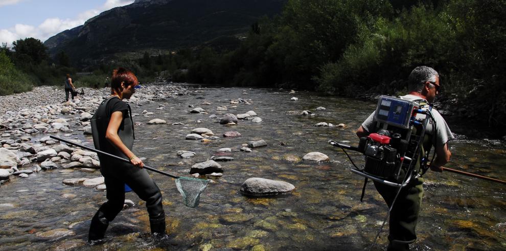 El Consejo de Pesca de Aragón se reúne para preparar la temporada del año 2013