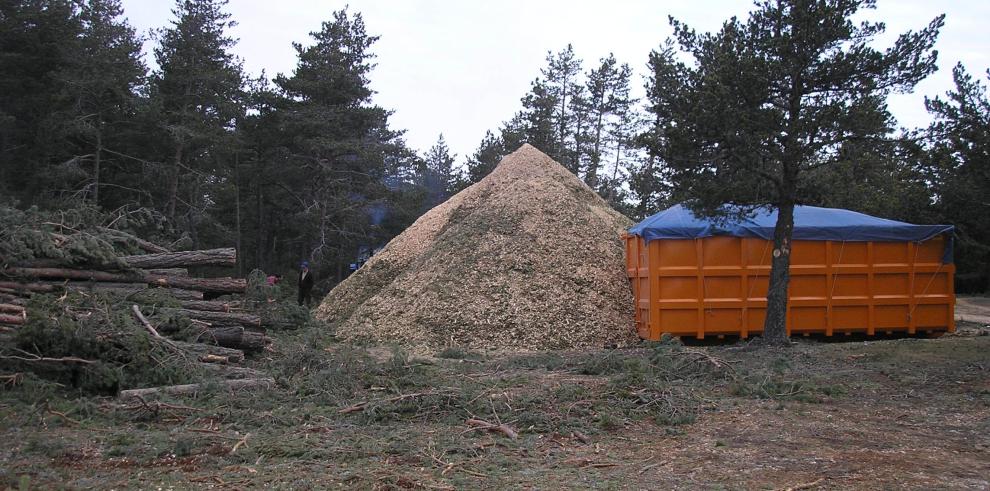 La Comunidad Autónoma de Aragón regula el aprovechamiento de la biomasa forestal para su uso energético