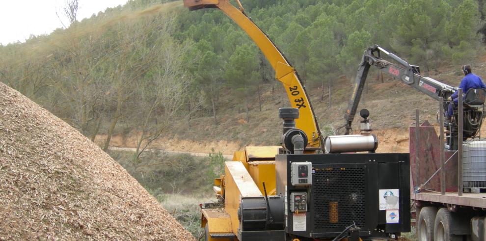 Segundo encuentro de empresas del sector de la biomasa en el marco del proyecto europeo WOOD-E3