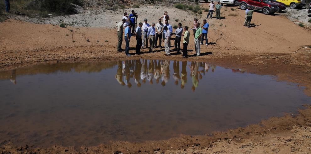 Gobierno de Aragón y Fundación La Caixa recuperan balsas y aljibes en Valmadrid para la conservación de la fauna vertebrada