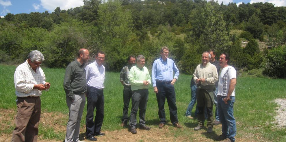 Gobierno de Aragón y ASAJA estudian líneas de apoyo a la ganadería ante posibles ataques de oso pardo