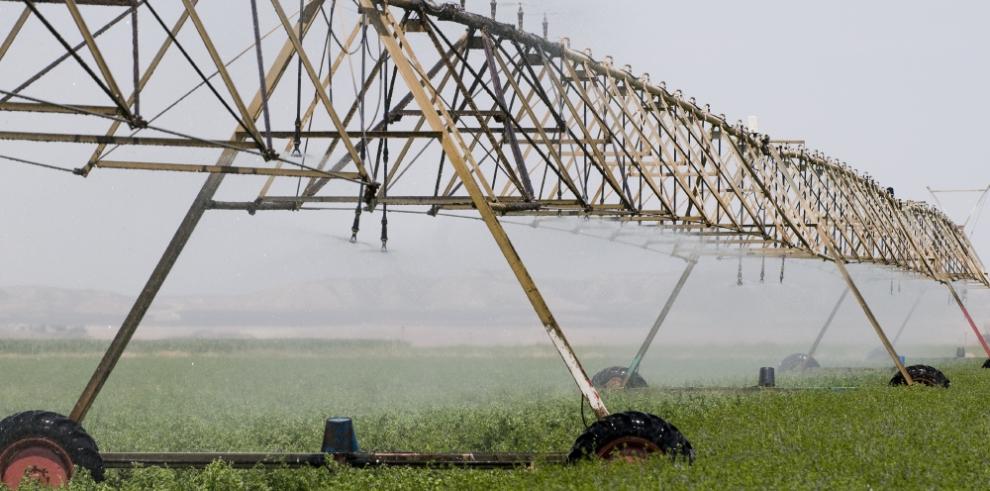 Las huertas de Fraga, Velilla y Torrente de Cinca pondrán en riego 1.528 hectáreas