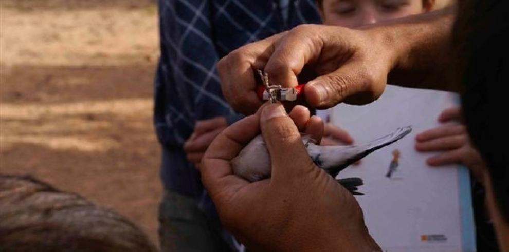 Los centros de la Red Natural de Aragón celebran, el próximo domingo, día 2, el Día Mundial de las Aves