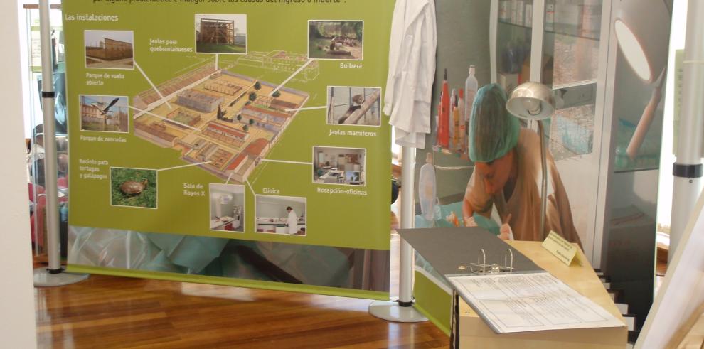 El Centro de Recuperación de Fauna Silvestre de la Alfranca muestra su labor en la Feria de Muestras durante las Fiestas del Pilar 