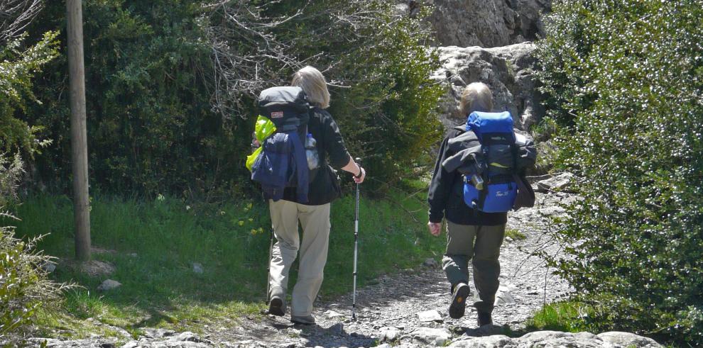 El Camino de Santiago, un camino que cuenta 