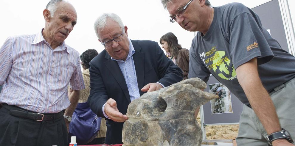 Paleontólogos de Dinópolis encuentran en Riodeva el fémur de dinosaurio más grande de Europa