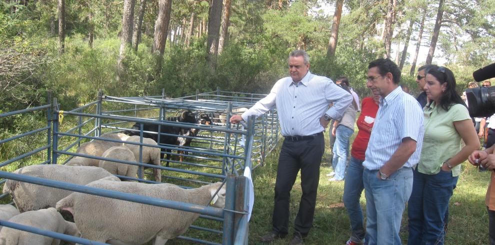 Boné: ¿Mantener la actividad trashumantes es fundamental vertebrar el territorio y conservar el Medio Ambiente¿