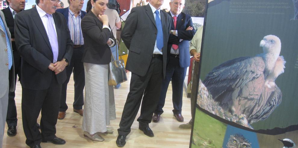 Boné: ¿La comarca Campo de Belchite está dinamizando su territorio a través de proyectos que fomentan el desarrollo sostenible¿