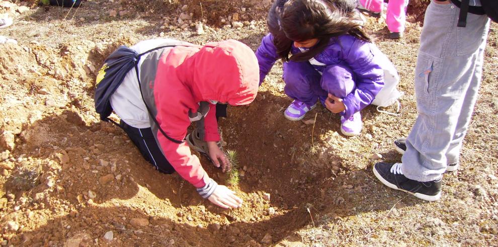 Más de 80 escolares de la comarca de Albarracín participan en la segunda plantación de la campaña ¿Un niño-un árbol: ayúdales a crecer¿