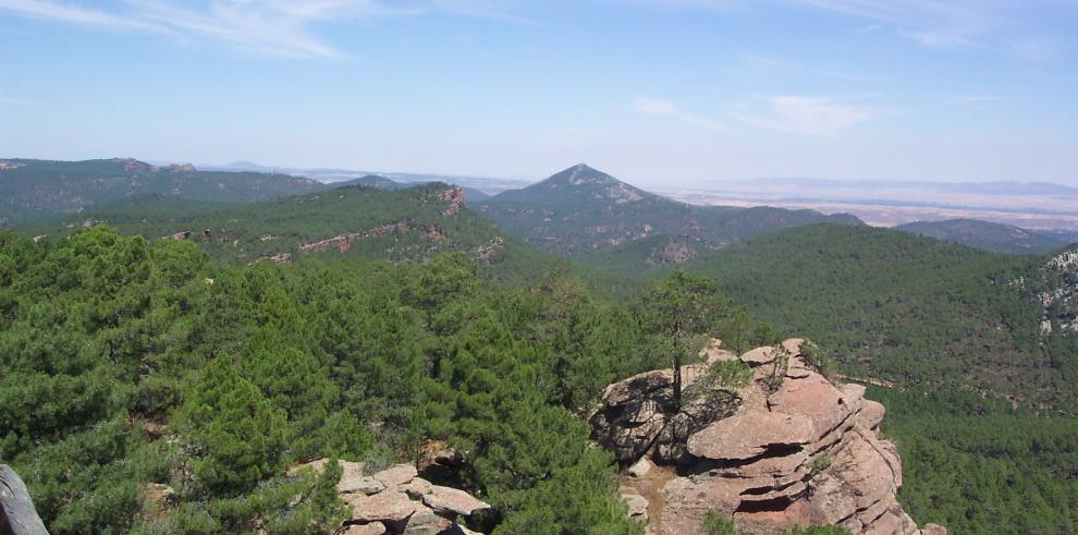 El Departamento de Medio Ambiente invertirá el próximo año medio millón de euros en el Paisaje Protegido del Rodeno 