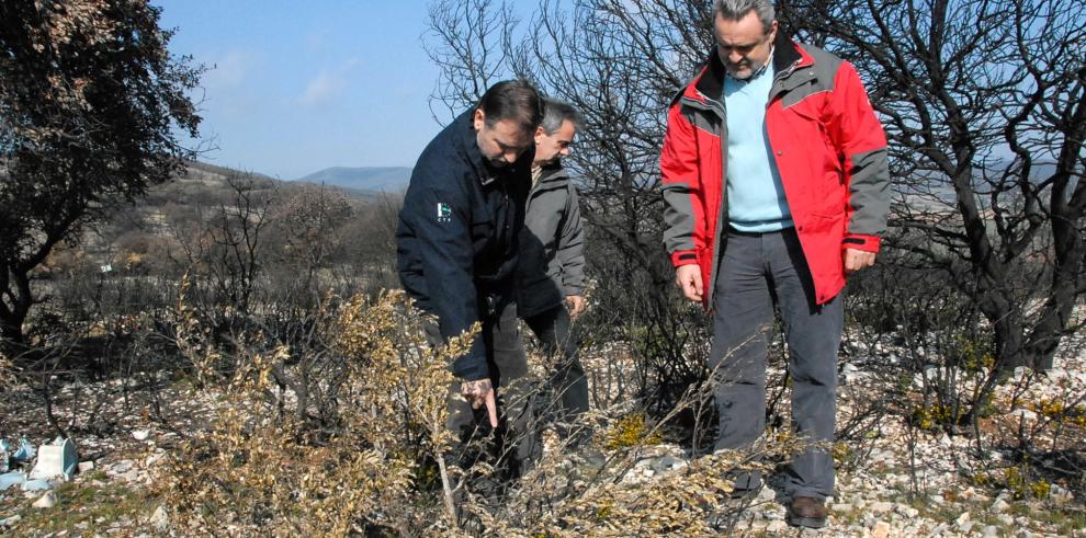 El presidente del Gobierno de Aragón, Marcelino Iglesias, y el consejero de Medio Ambiente, Alfredo Boné, han visitado hoy la zona afectada por el incendio forestal de La Litera