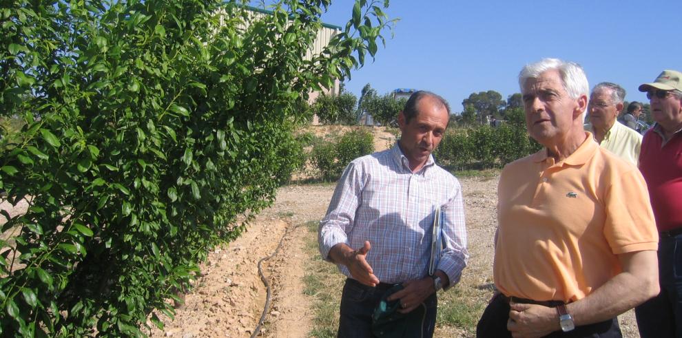 Arguilé ha visitado la finca de experimentación de cultivos leñosos AFRUCAS