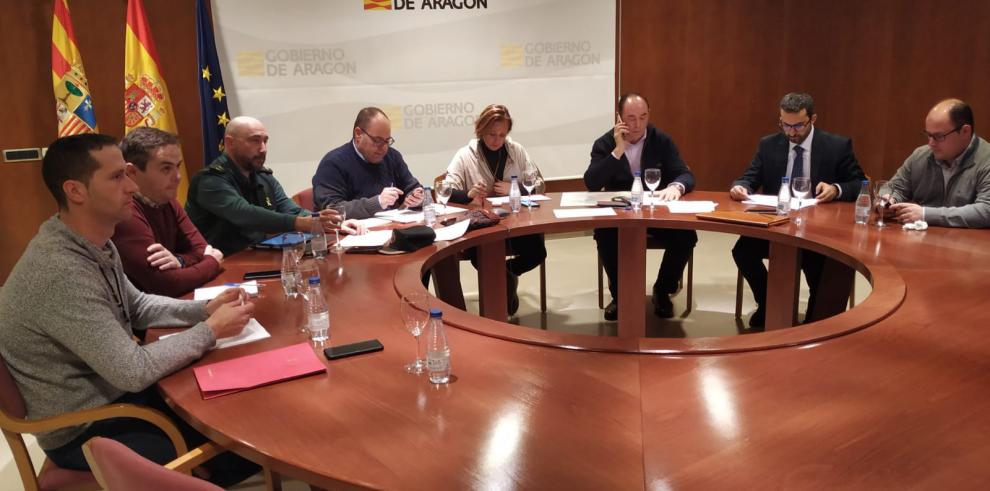 El Gobierno de Aragón mantiene al Nivel 2 la fase de Emergencia del Plan Territorial de Protección Civil por la borrasca Gloria