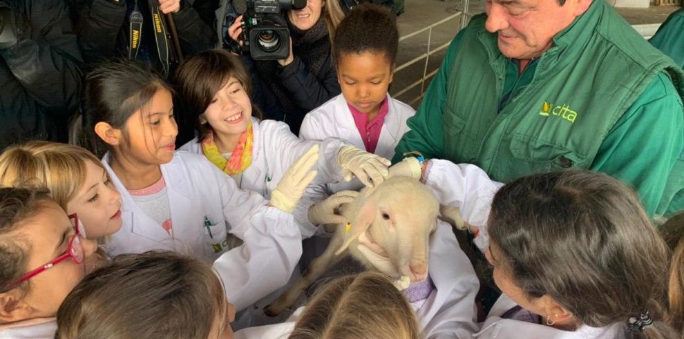  La Consejera Maru Díaz da el pistoletazo de salida a las actividades organizadas desde el Gobierno para apoyar el día internacional de la Mujer y la Niña en la Ciencia.