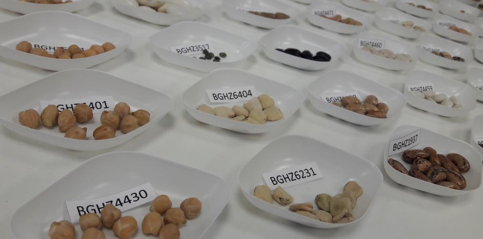 EL CITA publica el libro “Características del grano de las legumbres de Teruel conservadas en el Banco de Germoplasma Hortícola de Zaragoza”