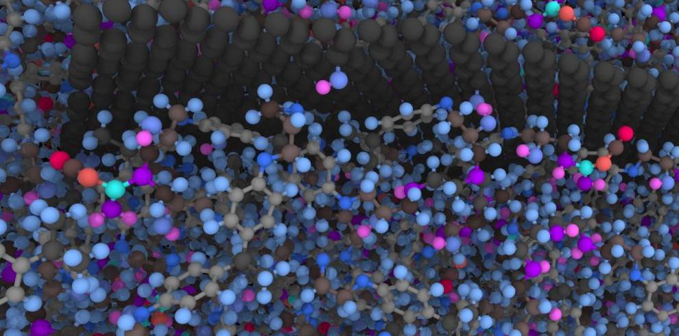 ITAINNOVA participa en el proyecto europeo New Skin, para facilitar a las empresas el acceso a múltiples nanotecnologías