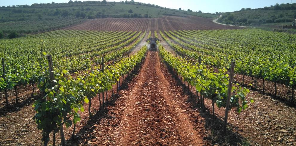 El proyecto europeo Grapevine ayudará a digitalizar el sector agroalimentario aragonés 