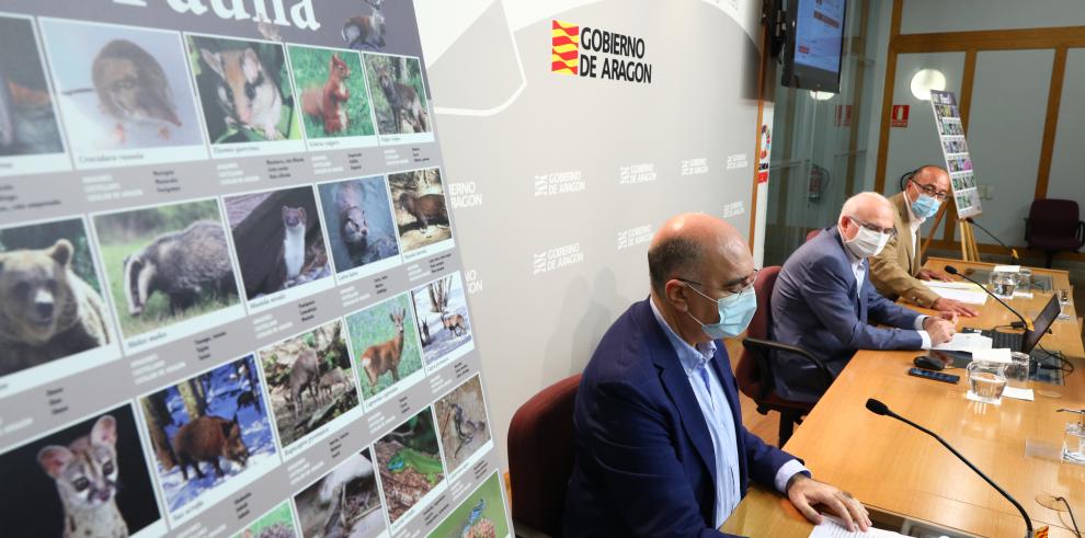Aragón Natural, nuevo proyecto didáctico sobre la fauna y la flora aragonesa