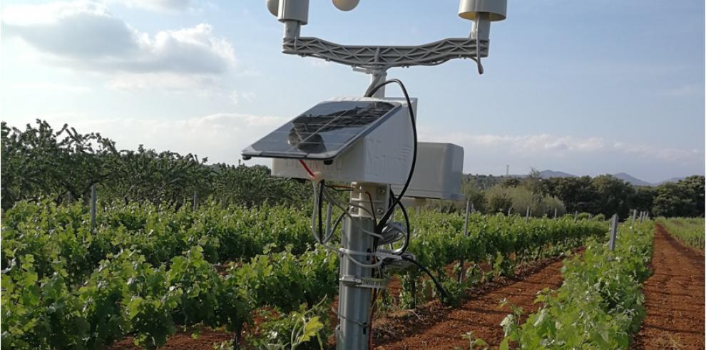 ITAINNOVA desarrolla Bodega 5.0, un proyecto tecnológico aplicado al sector del vino  