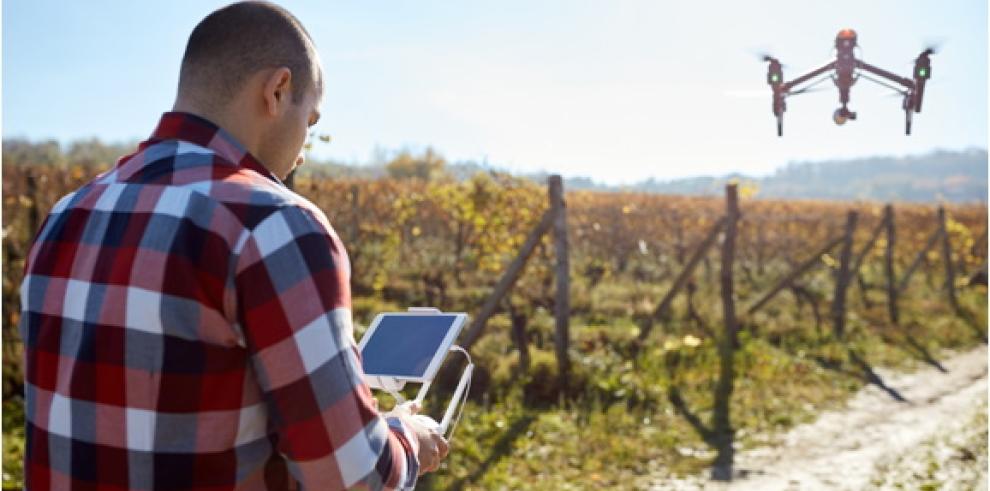 ITAINNOVA desarrolla Bodega 5.0, un proyecto tecnológico aplicado al sector del vino  