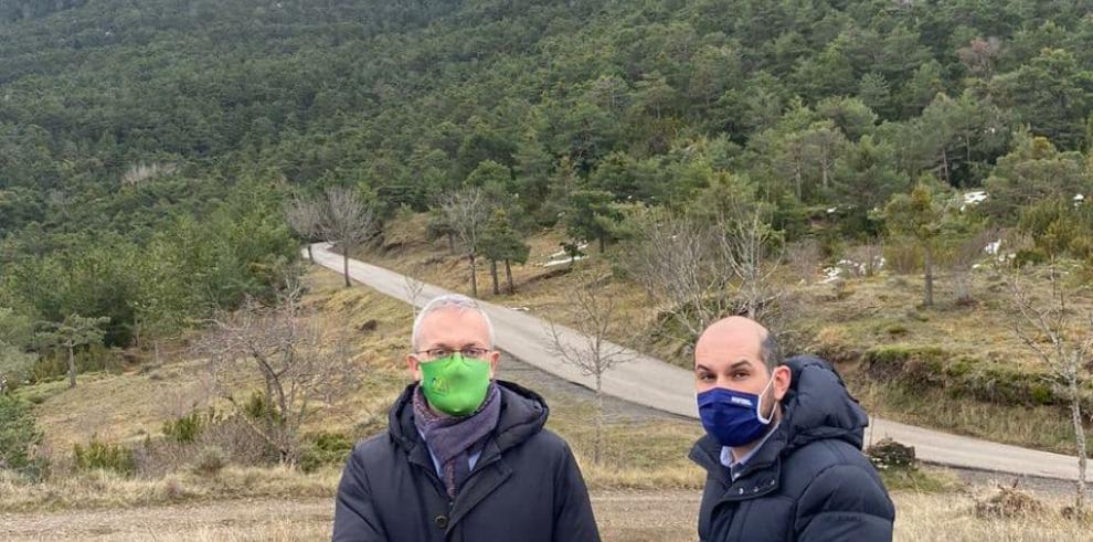 El futuro Plan Forestal de Aragón aprovechará todos los recursos que el bosque ofrece