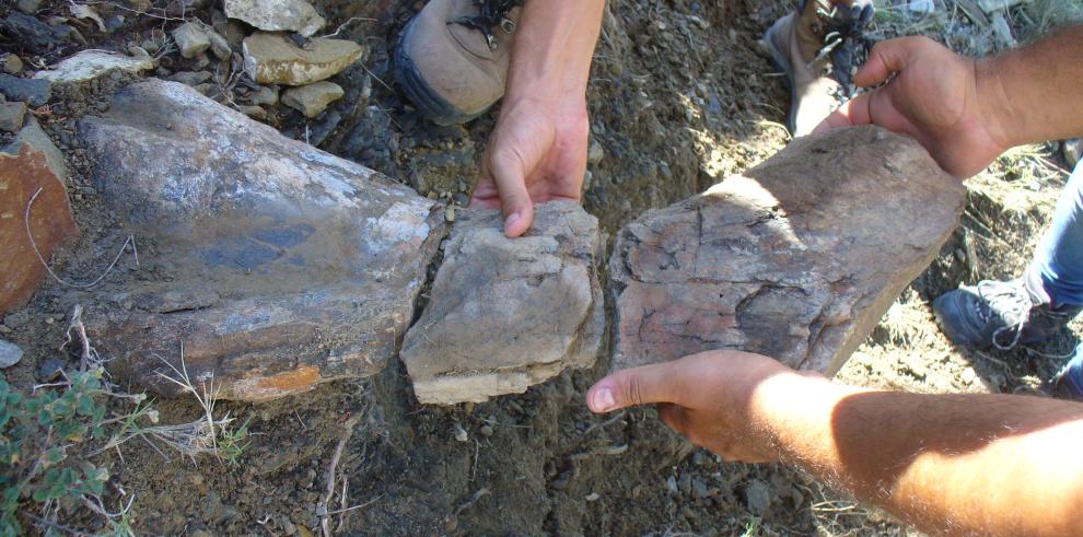 Las investigaciones de la Fundación Dinópolis han permitido hallar más de cien yacimientos de dinosaurios en la Sierra de Gúdar