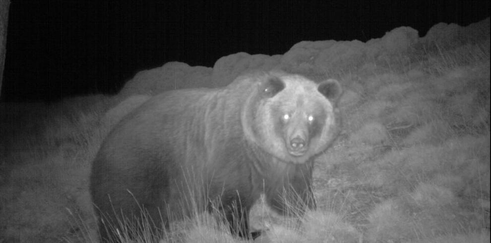 Muere la osa Sarousse como consecuencia de un disparo