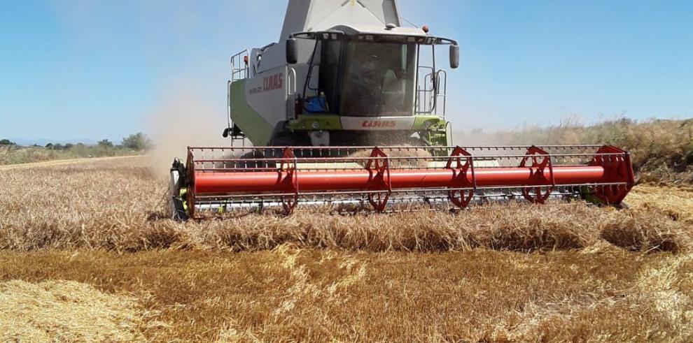 Nace una plataforma digital para vender y comprar cereal ecológico