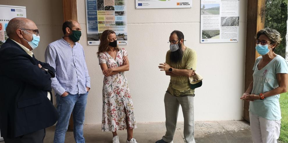 El Centro de Interpretación de la Naturaleza Espacio Alfranca dedica una exposición al chopo