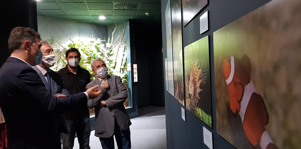 El Acuario de Zaragoza reabre sus puertas al público este jueves