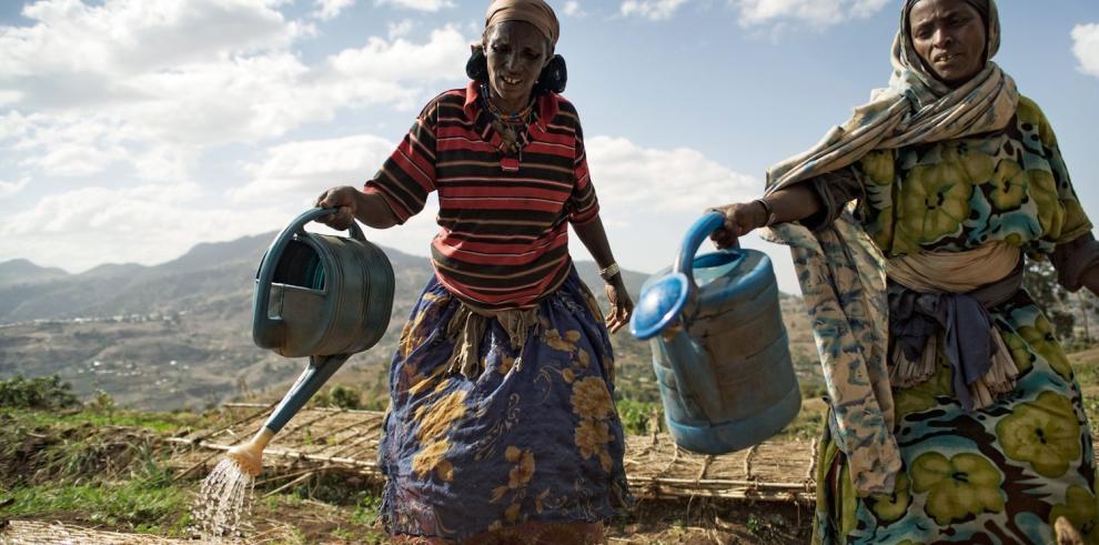 El Gobierno de Aragón destinó 1,5 millones de euros en 2019 a financiar proyectos relacionados con el agua en países en desarrollo