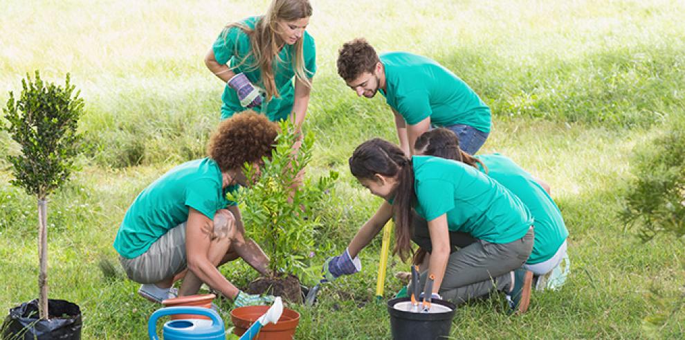 Abierto el plazo de inscripción para los ocho Campos de Voluntariado Juvenil que ofrece el IAJ este verano