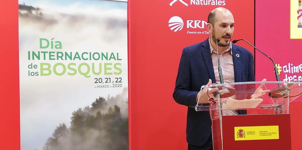 El Día Internacional de los Bosques protagonista en FITUR