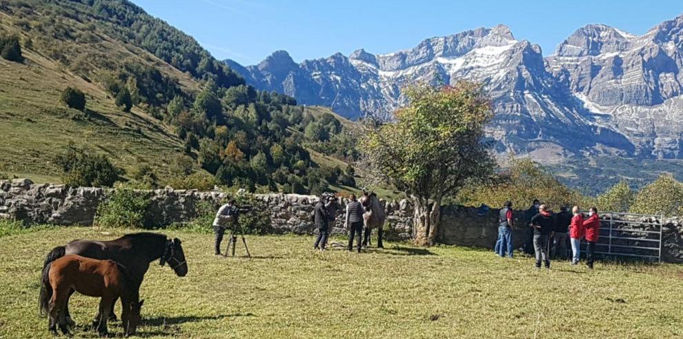 El proyecto EBARANA, para la gestión inteligente de la ganadería extensiva, ve la luz