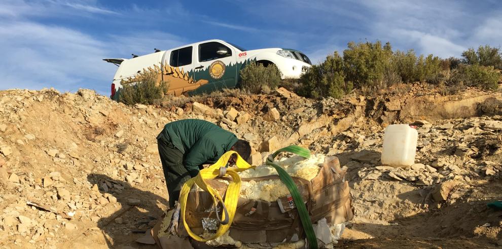 Paleontólogos de Dinópolis descubren un nuevo ejemplar de dinosaurio turiasaurio en Riodeva 