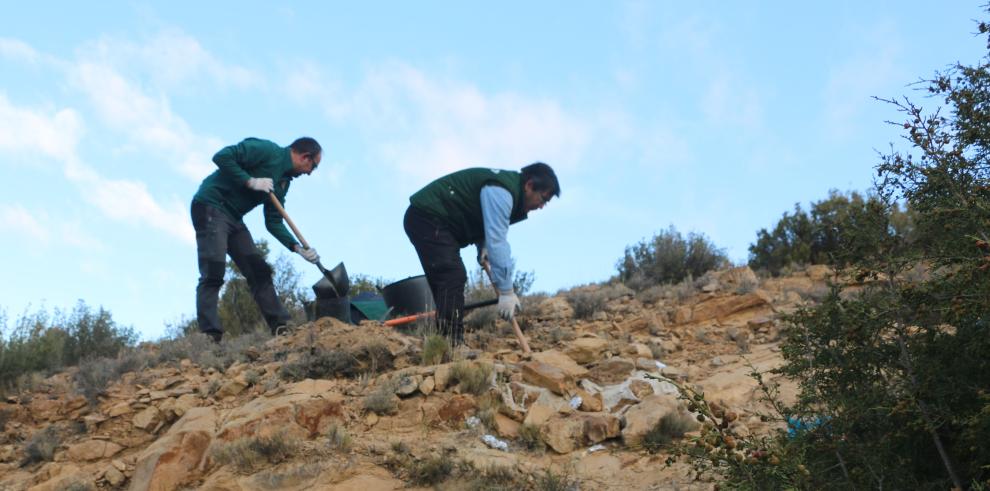 Paleontólogos de Dinópolis descubren un nuevo ejemplar de dinosaurio turiasaurio en Riodeva 