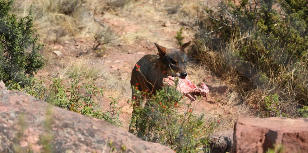 El Presidente de Aragón pone en valor el músculo del turismo de interior que ha capeado la temporada pese al azote de la pandemia