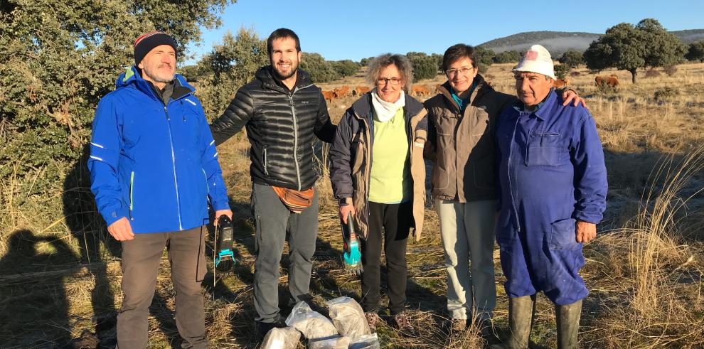 El CITA ha colaborado con Castilla y León en el estudio de la correcta alimentación de las vacas nodrizas  