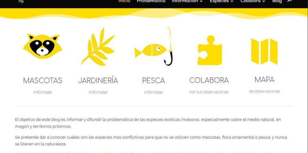 La Dirección General de Medio Natural y Gestión Forestal estrena una página web dedicada a las Especies Exóticas Invasoras en Aragón