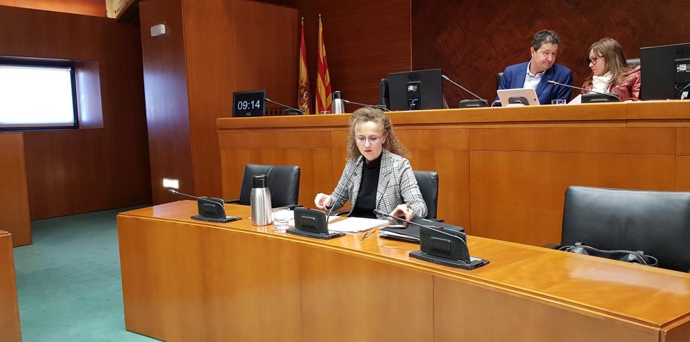 El Centro de Evaluación, Formación y Calidad de Aragón creará indicadores propios para medir la realidad educativa de la Comunidad