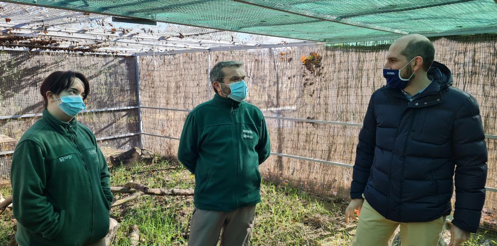 Diego Bayona anuncia una inversión de 1,4 millones para la ampliación del hospital de fauna silvestre de Aragón