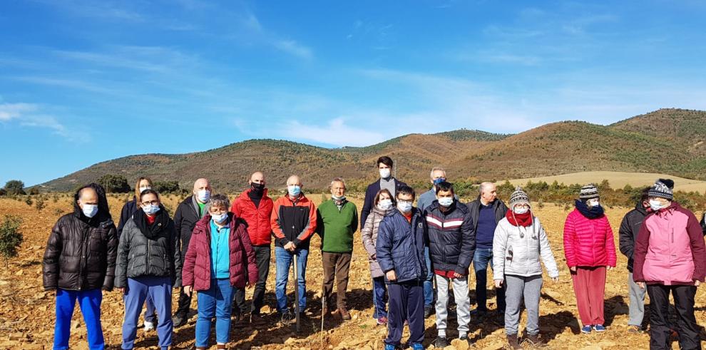 Aporte de 2.000 carrascas contra el cambio climático en Ascara, cerca de Jaca