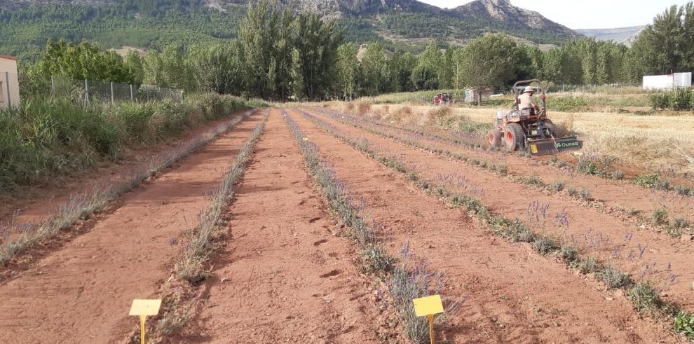 El CITA pone en marcha 11 nuevos proyectos del Fondo de Inversiones de Teruel