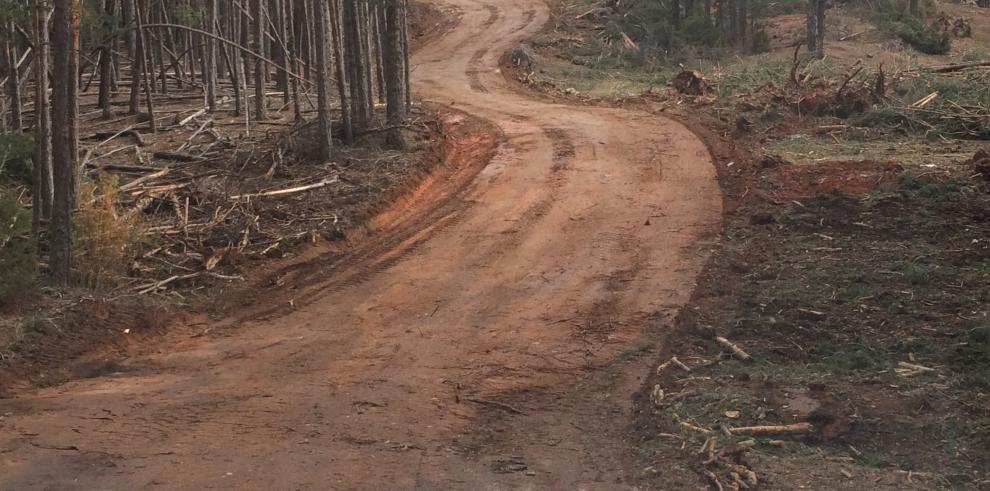 El Gobierno de Aragón invierte casi 48.000 euros en la mejora de las pistas forestales de tres montes de utilidad pública en la Sierra de Albarracín