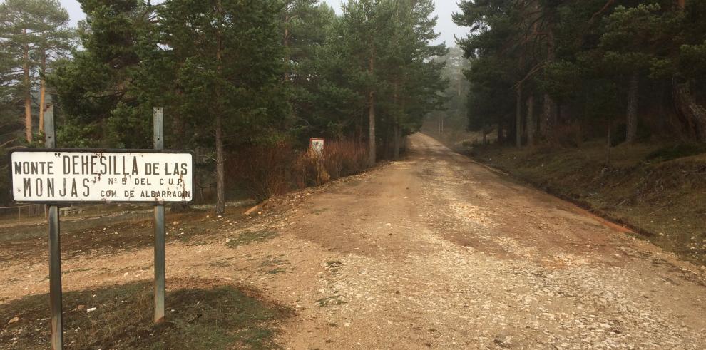 El Gobierno de Aragón invierte casi 48.000 euros en la mejora de las pistas forestales de tres montes de utilidad pública en la Sierra de Albarracín