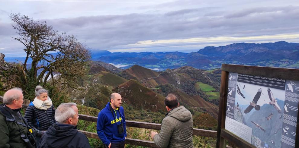 Cinco hembras de Quebrantahuesos criadas este año en Aragón vuelan ya en los Picos de Europa