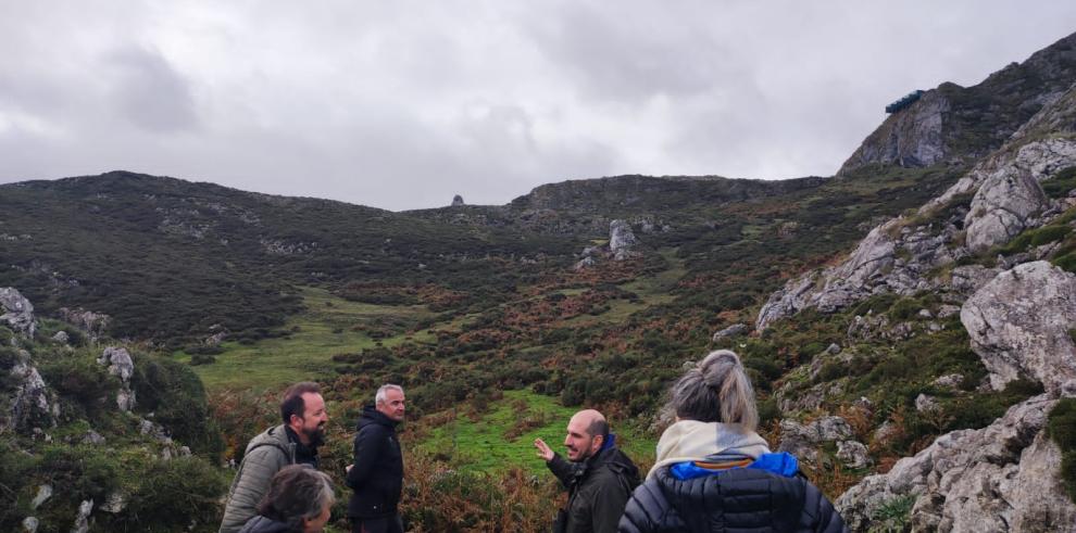 Cinco hembras de Quebrantahuesos criadas este año en Aragón vuelan ya en los Picos de Europa