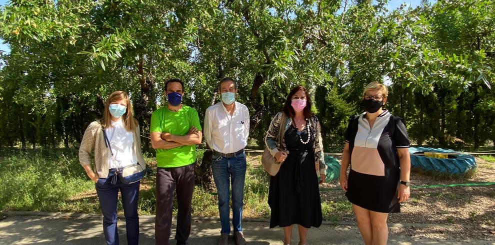 El CEIP Ramón y Cajal de Alpartir vencedor del I Foro Interescolar “Más Frutas de Aragón”