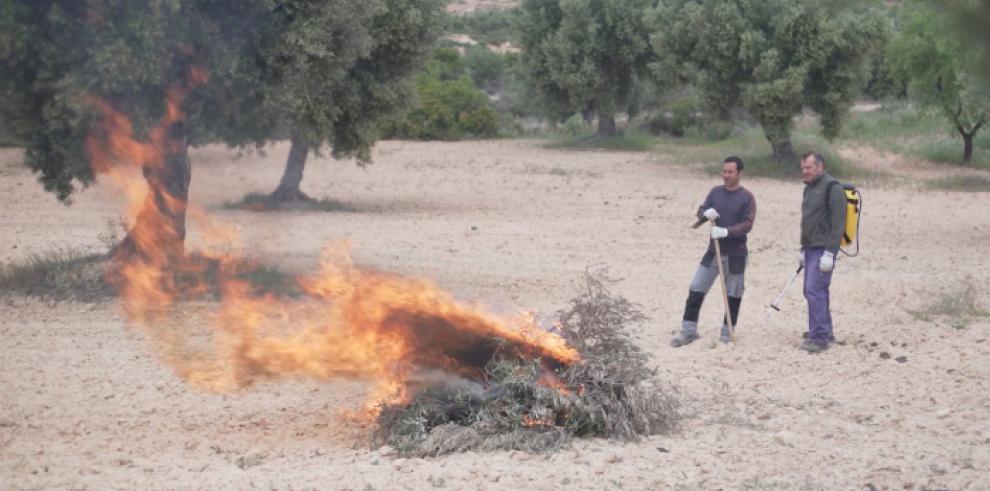 El 1 de abril comienza la época de peligro de incendios forestales en Aragón